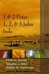 Book cover of 1 and 2 Peter, Jude, 1, 2, and 3 John by Peter H. Davids