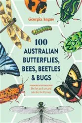 Book cover of 100 Australian Butterflies, Bees, Beetles & Bugs by Georgia Angus