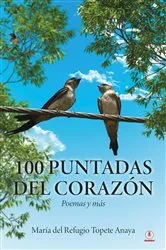 Book cover of 100 puntadas del corazón by María del Refugio Topete Anaya