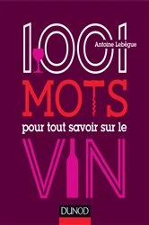 Book cover of 1001 mots pour tout savoir sur le vin by Antoine Lebègue
