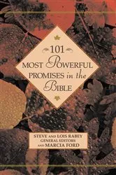 Book cover of 101 Most Powerful Promises in the Bible by Steven Rabey
