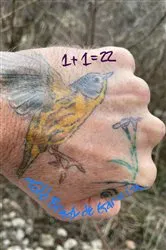 Book cover of 1+1= 22 by Todd Brady de Garcia