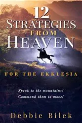 Book cover of 12 STRATEGIES FROM HEAVEN by Debbie Bilek