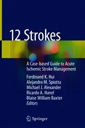 Book cover of 12 Strokes by Ferdinand K. Hui
