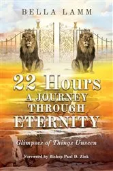 Book cover of 22 Hours: A Journey Through Eternity by Bella Lamm