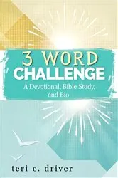 Book cover of 3-Word Challenge by teri c. driver