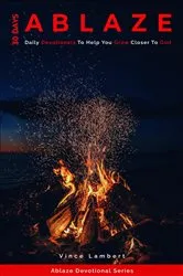 Book cover of 30 Days Ablaze by Vince Lambert