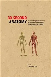 Book cover of 30-Second Anatomy by Gabrielle M Finn