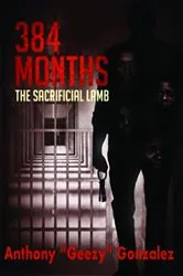 Book cover of 384 Months by Anthony Gonzalez