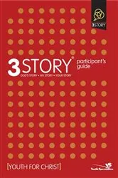 Book cover of 3Story Participant's Guide by Dave Rahn