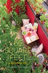 Book cover of 66 Square Feet by Marie Viljoen