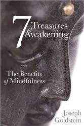 Book cover of 7 Treasures of Awakening by Joseph Goldstein