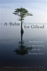 Book cover of A Balm for Gilead by Daniel P. Sulmasy