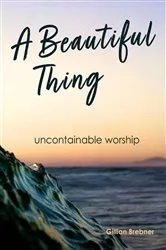 Book cover of A Beautiful Thing by Gillian Brebner