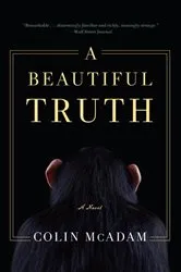 Book cover of A Beautiful Truth by Colin McAdam