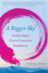 Book cover of A Bigger Sky by Pamela Weiss