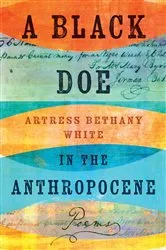 Book cover of A Black Doe in the Anthropocene by Unknown