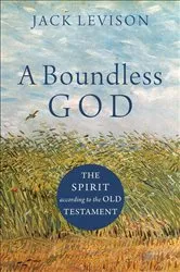 Book cover of A Boundless God by Jack Levison