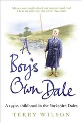 Book cover of A Boy's Own Dale by Terry Wilson