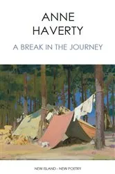 Book cover of A Break in the Journey by Anne Haverty