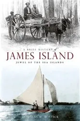 Book cover of A Brief History of James Island: Jewel of the Sea Islands by Douglas W. Bostick