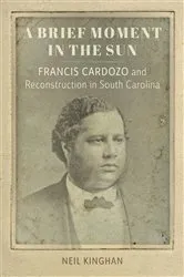 Book cover of A Brief Moment in the Sun by Neil Kinghan