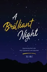 Book cover of A Brilliant Night by Juli Able