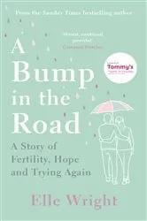 Book cover of A Bump in the Road by Michael Caprio