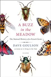 Book cover of A Buzz in the Meadow by Unknown
