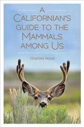 Book cover of A Californian's Guide to the Mammals Among Us by Charles Hood