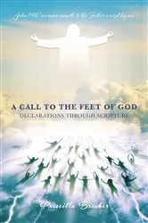 Book cover of A Call to the Feet of God by Priscilla Brisker