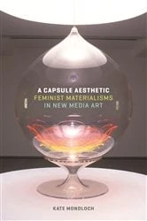 Book cover of A Capsule Aesthetic by Kate Mondloch
