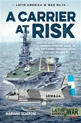 Book cover of A Carrier at Risk by Mariano Sciaroni
