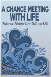 Book cover of A Chance Meeting with Life by Jan Price