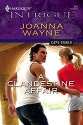Book cover of A Clandestine Affair by Sally James