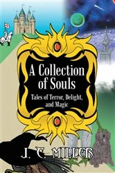Book cover of A Collection of Souls by J. C. Miller