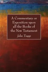 Book cover of A Commentary or Exposition upon all the Books of the New Testament by John Trapp