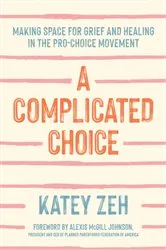 Book cover of A Complicated Choice by Katey Zeh