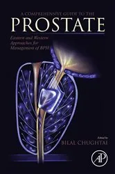 Book cover of A Comprehensive Guide to the Prostate by Unknown