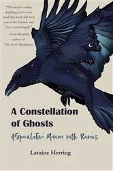 Book cover of A Constellation of Ghosts by Unknown