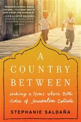 Book cover of A Country Between by Stephanie Saldaña