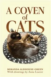 Book cover of A Coven of Cats by Miranda Aldhouse-Green