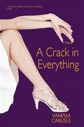 Book cover of A Crack in Everything by Vanessa Carlisle