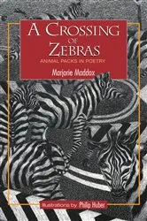 Book cover of A Crossing of Zebras by Marjorie Maddox