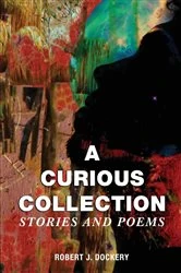 Book cover of A Curious Collection by Robert J. Dockery