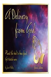 Book cover of A Delivery from God by Janet Acklin
