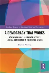 Book cover of A Democracy That Works by Stephen Amberg