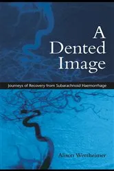 Book cover of A Dented Image by Alison Wertheimer