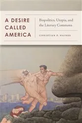 Book cover of A Desire Called America by Christian Haines