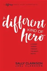 Book cover of A Different Kind of Hero by Sally Clarkson